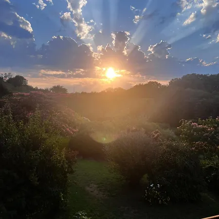 Domaine Du Fraysse L'ermitage Un Coin De Paradis Saint-Cybranet