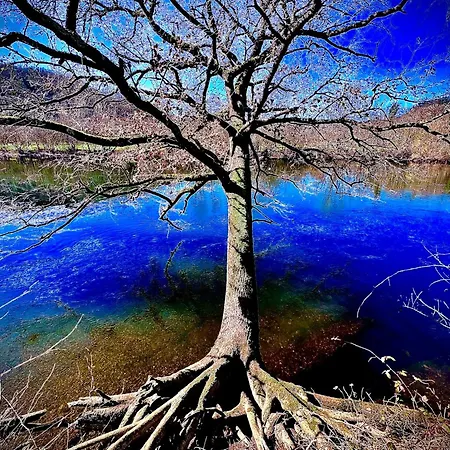 Domaine Du Fraysse L'ermitage Un Coin De Paradis