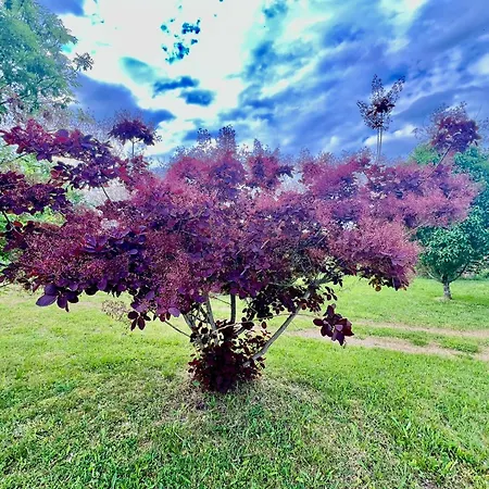 Domaine Du Fraysse L'ermitage Un Coin De Paradis