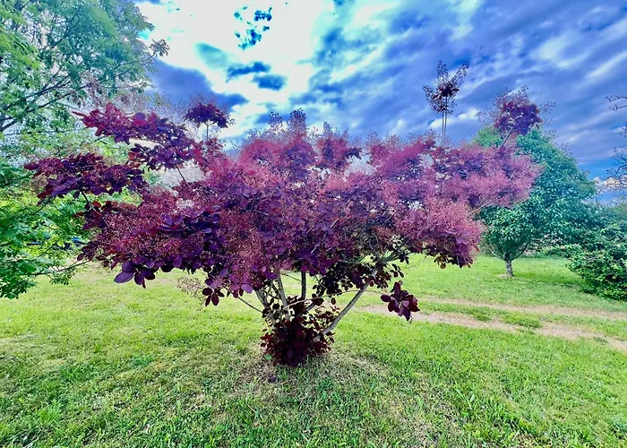 Domaine Du Fraysse L'ermitage Un Coin De Paradis